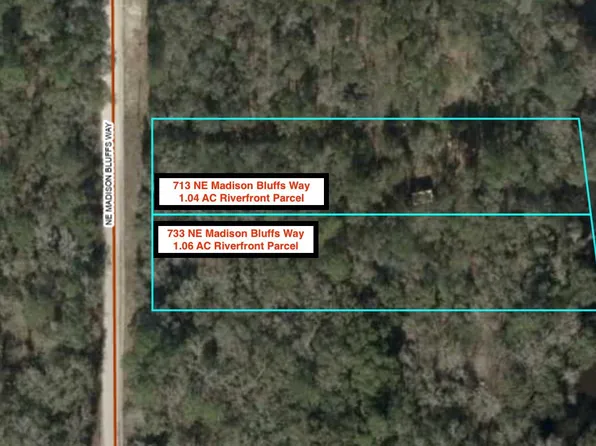 713 & 733 NE Madison Bluffs Way, Lee, FL 32059