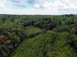 00000000 Salem Minor Hill Road, Lester, AL 35647