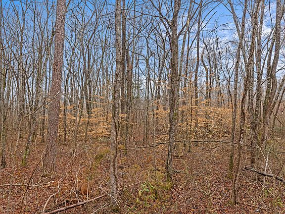 3rd image of 356 State Highway 68 W