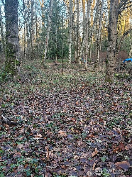 3rd image of 35750 Military Road S