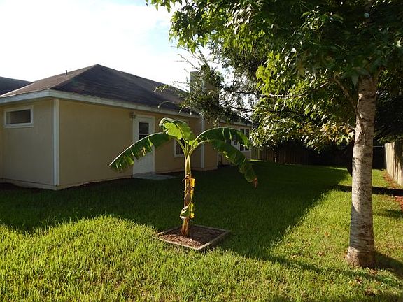 Fenced back yard
