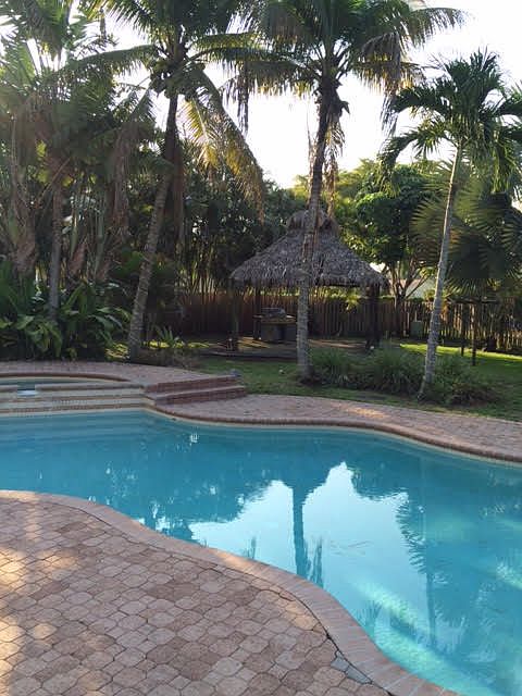 Tiki Hut & Pool back yard