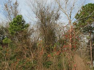 1119 Kathy St, Rosharon, TX 77583