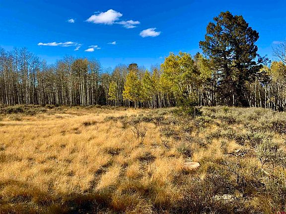 4th image of Tract 7 South Beaver Cow Camp