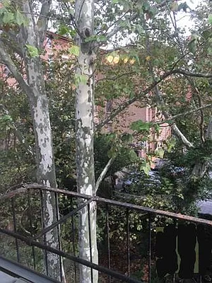 Rented by Owner | media 8