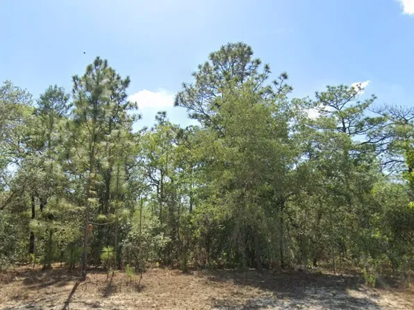 7932 N Elkcam Blvd, Citrus Springs, FL 34433