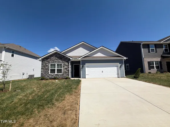 252 Chimney View Loop, Blountville, TN 37617