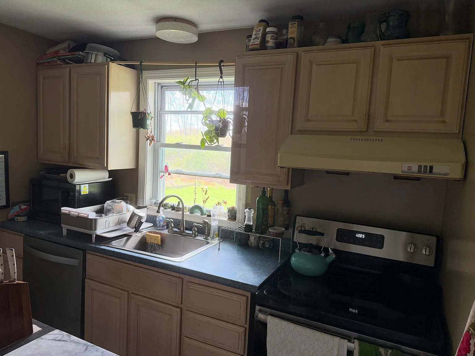 5 bed, 2000 sqft, $3,275 — Photo 2