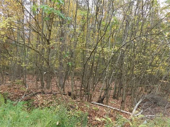 2 South (aka Foster) Trail, Narrowsburg, NY 12764