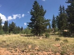 5351 County Road 100, Florissant, CO 80816