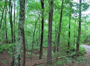 0 Dry Hollow Rd, Dahlonega, GA 30533