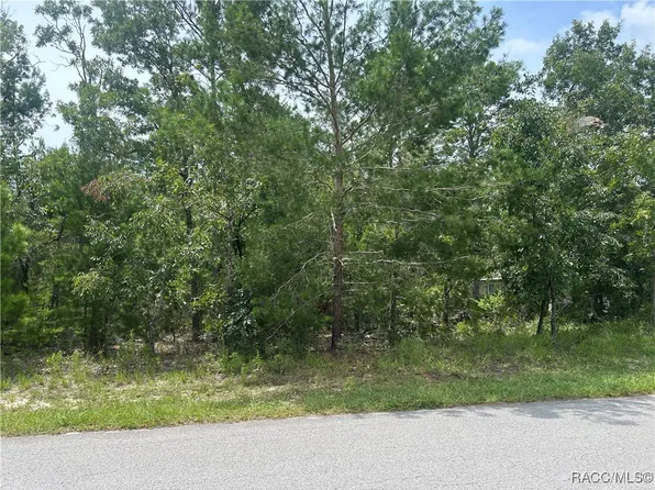 1 Cosmos Ct E, Homosassa, FL 34446