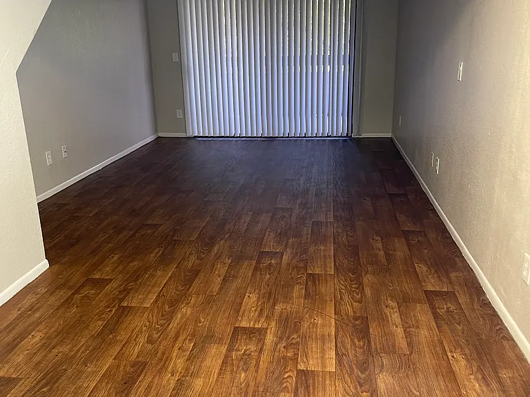 1215 E Lemon St #217 — Photo 11