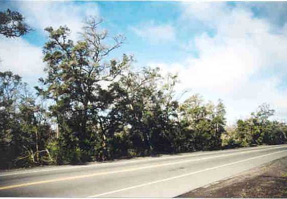 3rd image of Highway 11 Lot 1