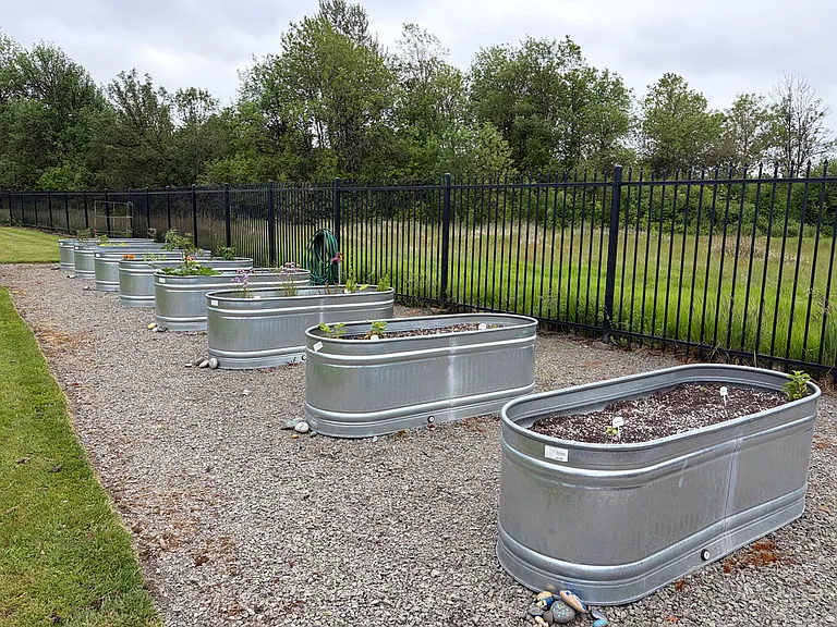 Community Garden
