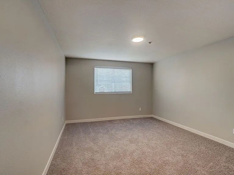 Veri 1319 — Photo 142