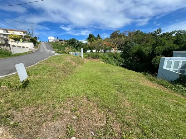 Bo Collores 926 Lote #B, Las Piedras, PR 00771