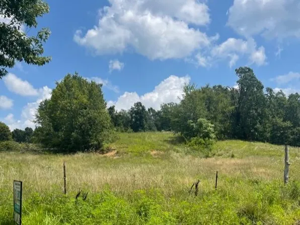 0 Rabbit Flat Rd, Caneyville, KY 42721