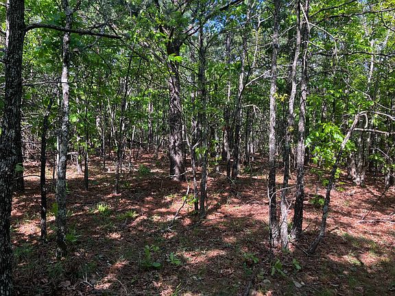 4th image of Bear Creek Rd