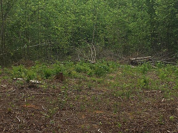 5th image of TRACT 5A River Road Liberty Grove Rd