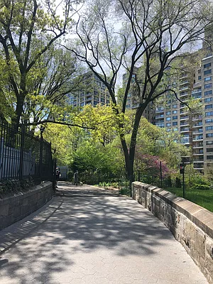 Rented by Corcoran | media 33