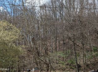 Cliff Mountain Way, Duffield, VA 24244