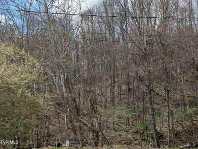 Cliff Mountain Way, Duffield, VA, 24244