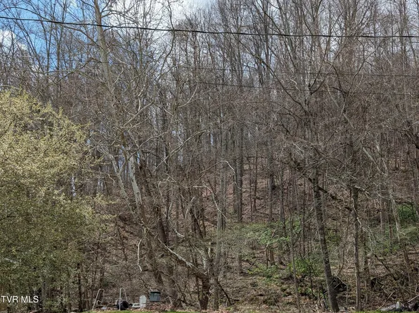 Cliff Mountain Way, Duffield, VA 24244