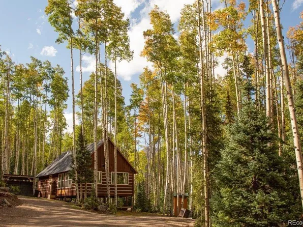 6105 Bachelor Loop, Creede, CO 81130