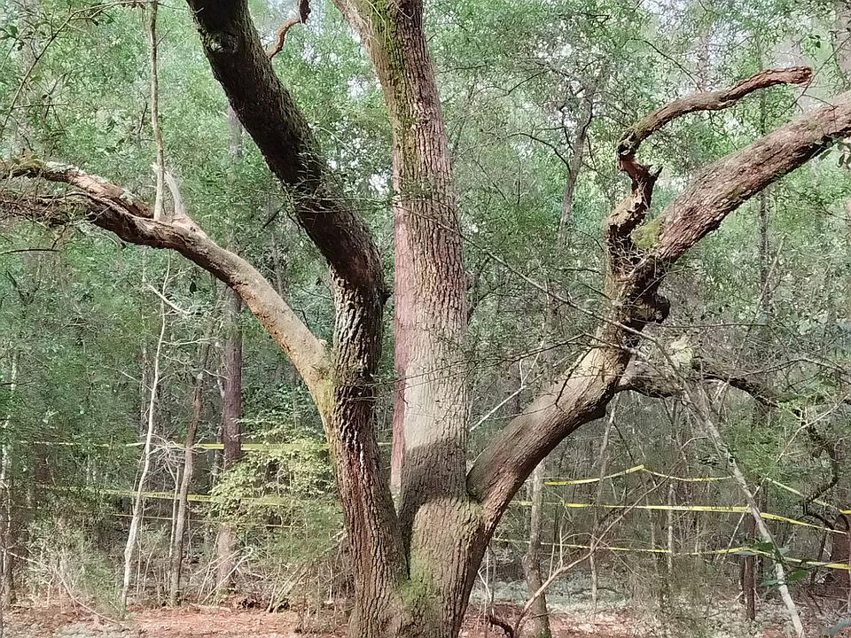 2nd image of Waldo Rd