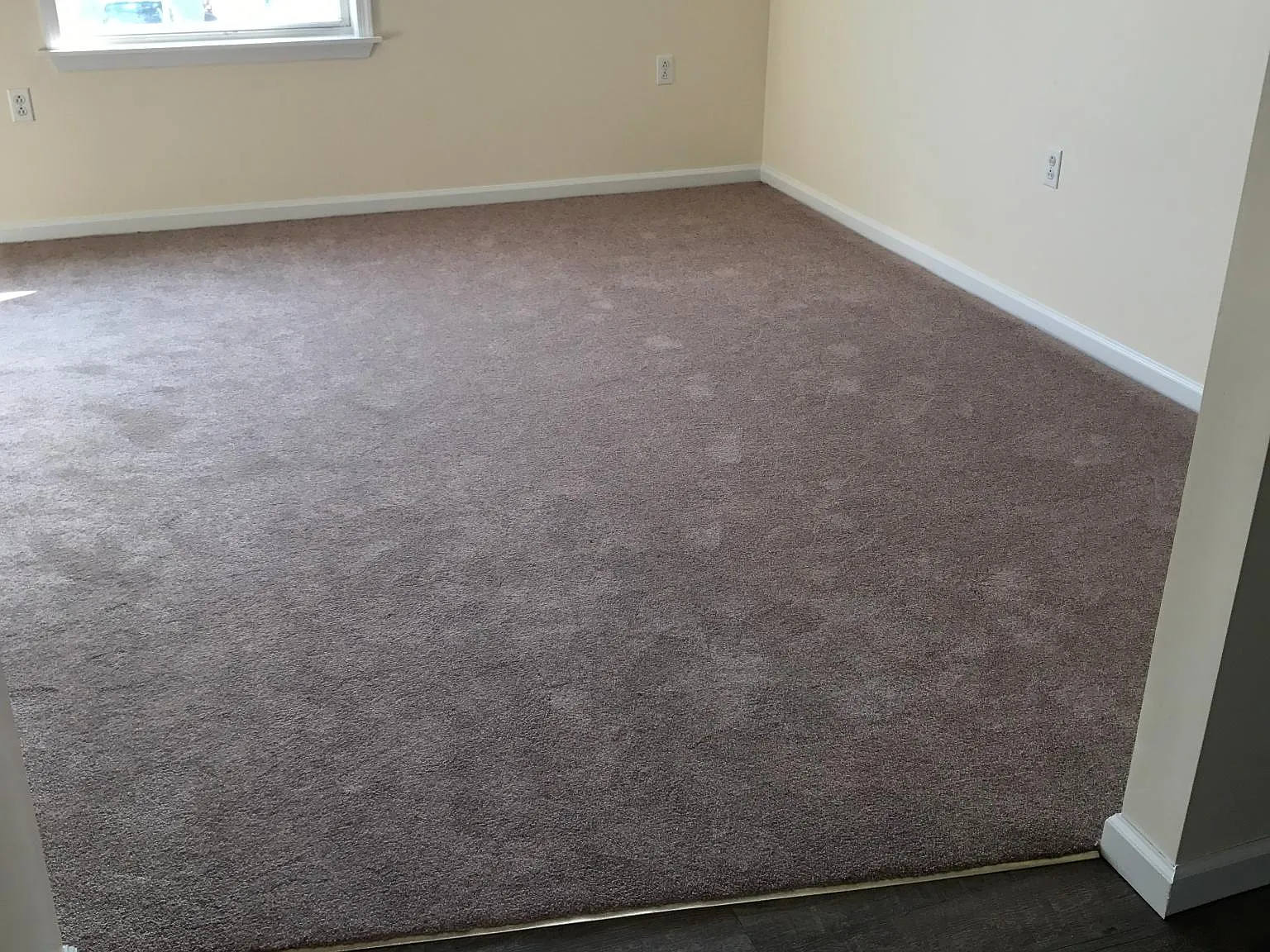 2 bed, 800 sqft, $1,000 — Photo 3