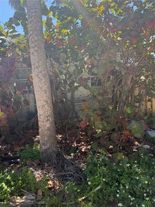 611 N Bay Blvd Lot 5, Anna Maria, FL, 34216