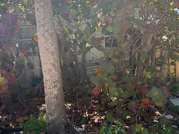 611 N Bay Blvd Lot 5, Anna Maria, FL 34216