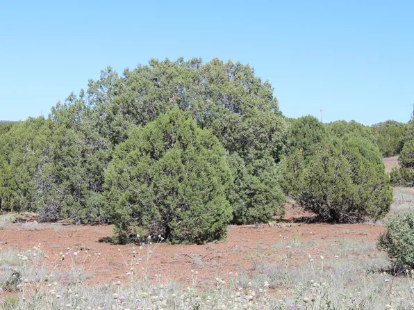 1857 Taylor St, Show Low, AZ 85901