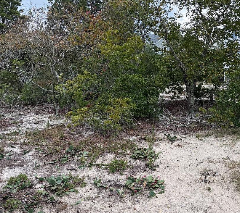 1st image of 9 Pintail Ln
