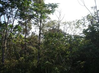 13th Ave LOT 1221, Keaau, HI 96749