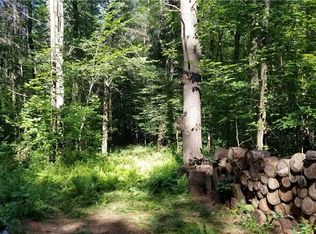 13136 Henry Rd, Natural Bridge, NY 13665