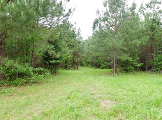 County Road 180, Blue Springs, MS 38828
