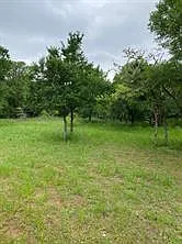 2 bed, 1.0 bath, 1000 sqft, $1,050 — Photo 4