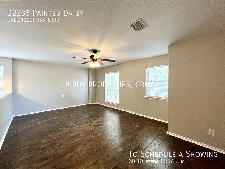 12235 Painted Daisy — Photo 21