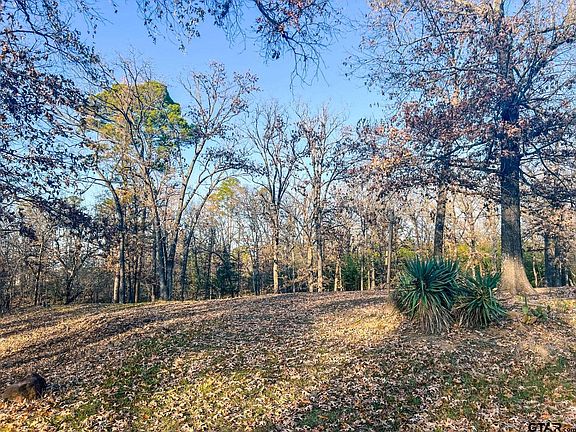 5th image of 836 County Road 2601