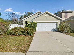 10104 Hawk Storm Ave, Tampa, FL 33610