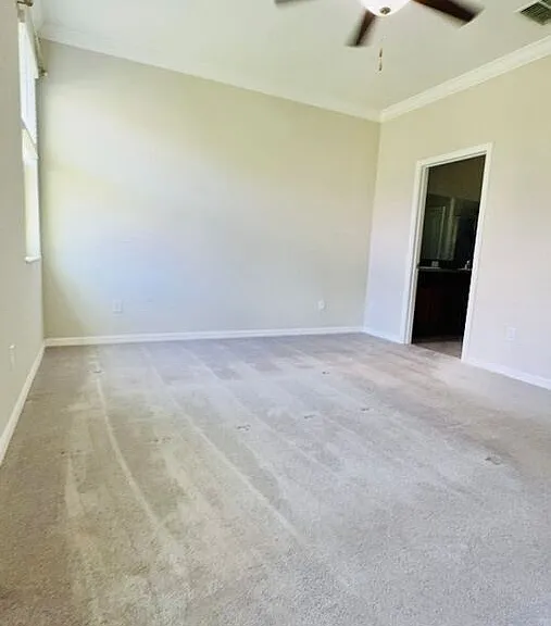 8897 Flourish Dr — Photo 18