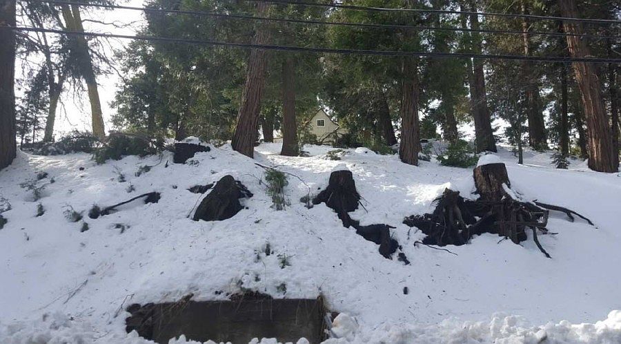 1st image of 24813 Crest Forest Dr