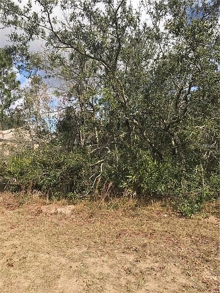 2nd image of 415 Rio Grande Ln