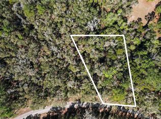 987 E ODIN Drive, Dunnellon, FL 34434