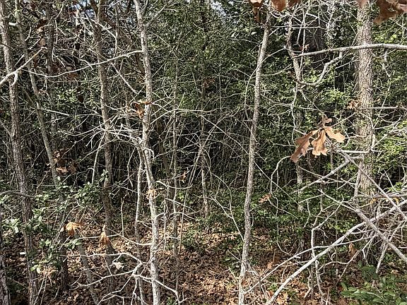 5th image of LOT 21 Flint Ridge St