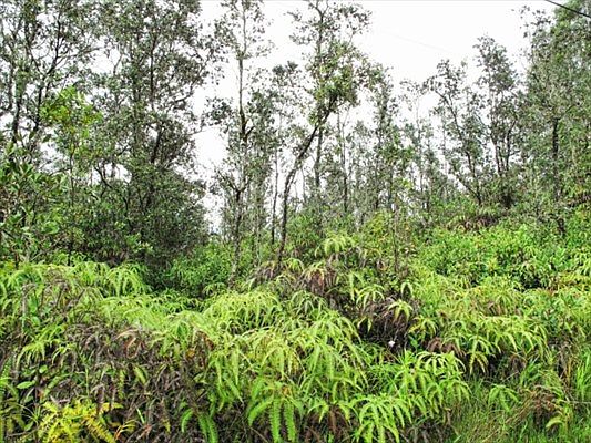 2nd image of Road 7 Opeapea Lot 4860