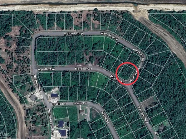 1998 Walcott Loop, Lehigh Acres, FL 33972