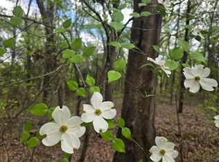 5 Cloverleaf Way, Antlers, OK 74523